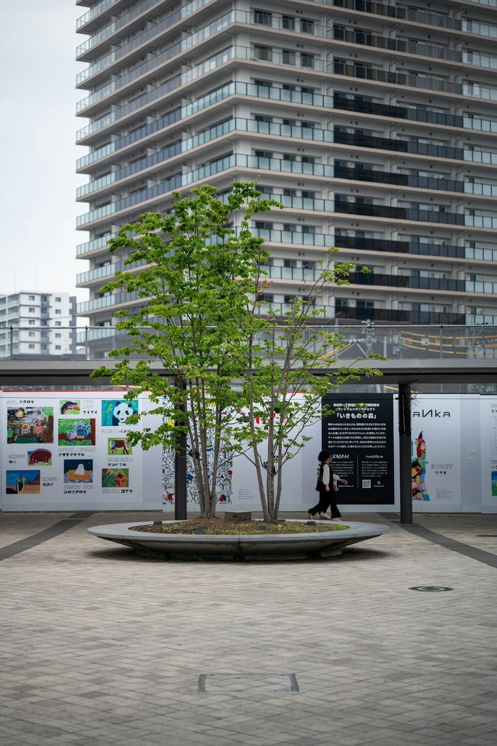 Parkdale Commons